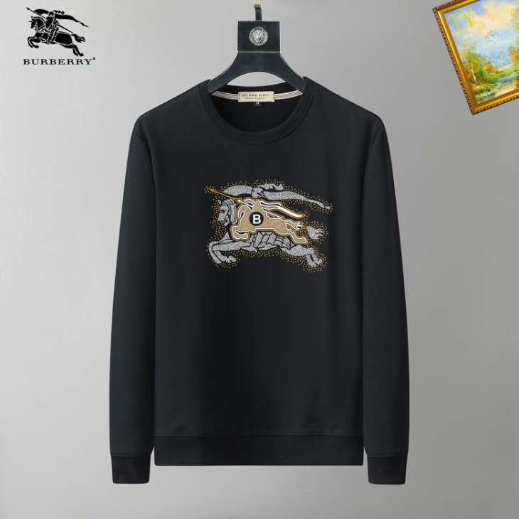 Picture of Burberry Sweatshirt _SKUBurberryM-3XL25tn8430755